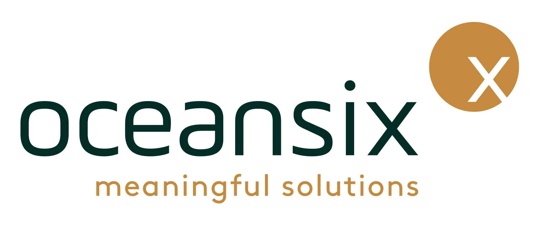 Oceansix full_logo
